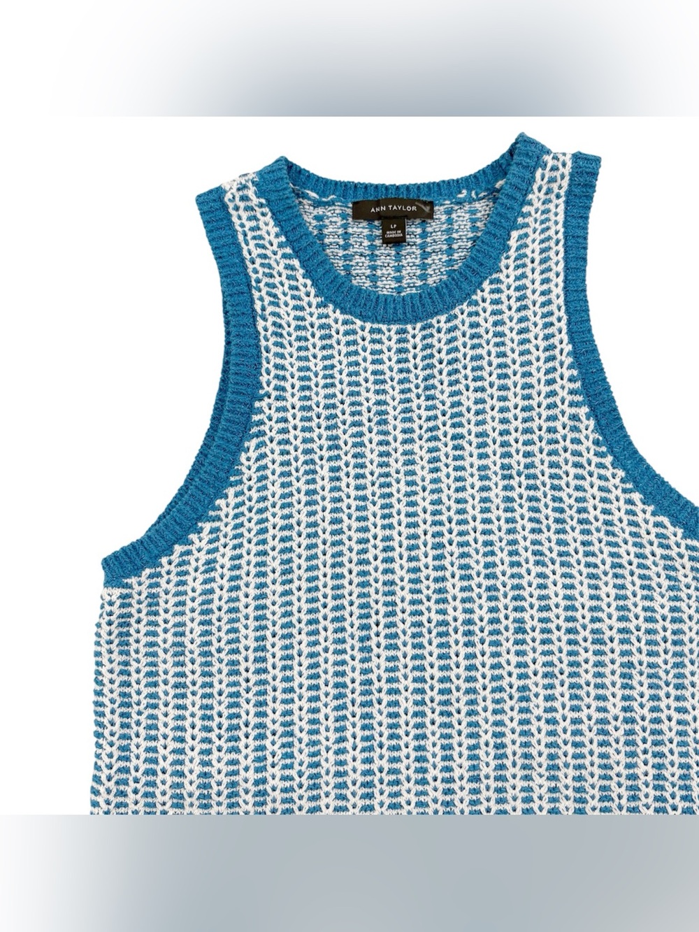 Ann Taylor Blue and White Knit Tank Petite Large